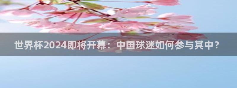 2026年足球世界杯赛程时间表:世界杯2024即将开幕:中国球迷如何参与其中?