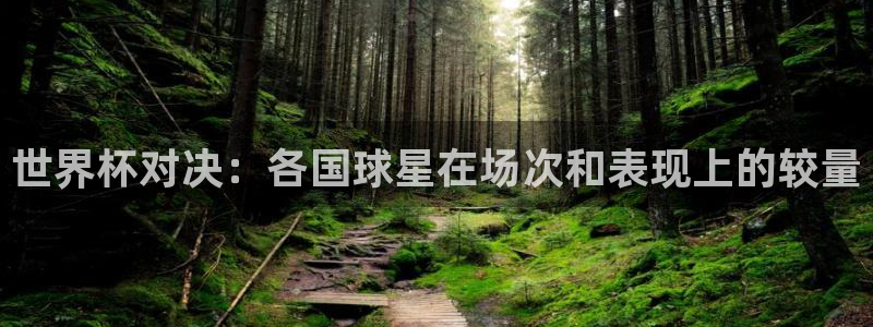 世界杯比赛:世界杯对决:各国球星在场次和表现上的较量