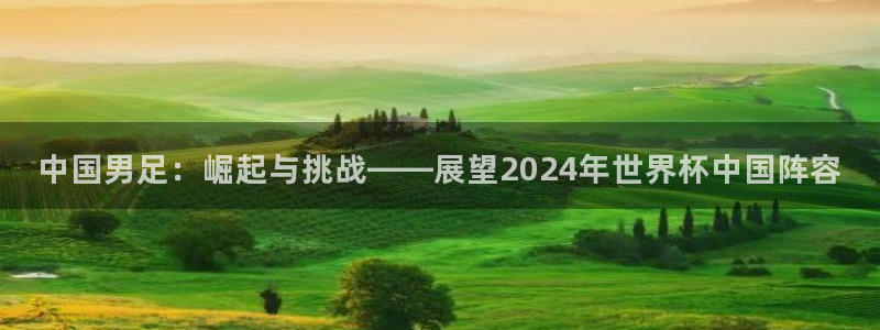 2026足球世界杯:中国男足:崛起与挑战——展望2024年世界杯中国阵容