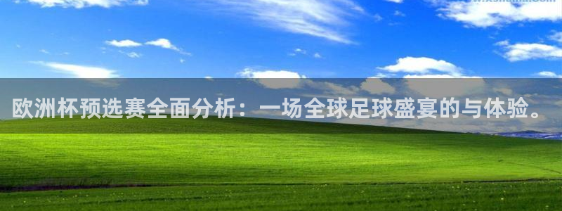 世界杯足球2026:欧洲杯预选赛全面分析:一场全球足球盛宴的与体验。