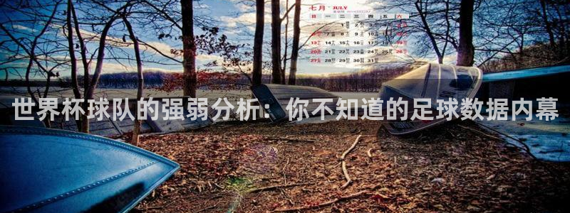 世界杯预选赛欧洲赛区赛程:世界杯球队的强弱分析:你不知道的足球数据内幕
