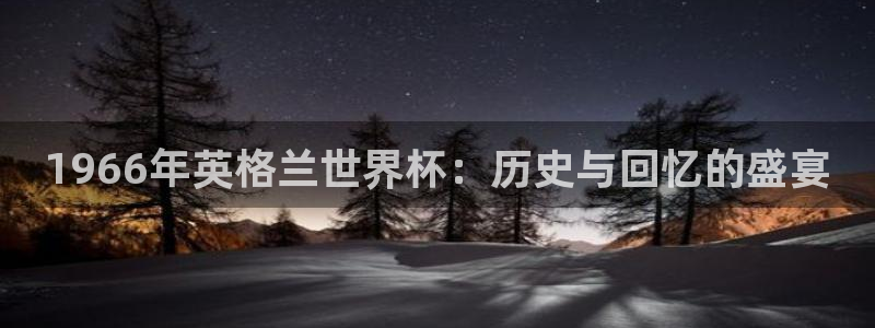 世界杯直播网站:1966年英格兰世界杯:历史与回忆的盛宴