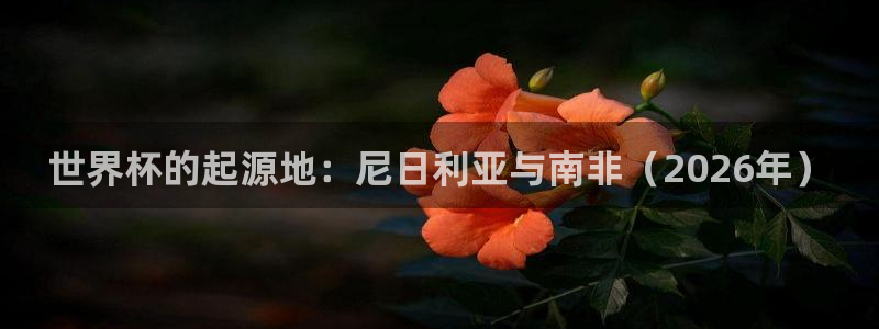免费看足球直播比赛:世界杯的起源地:尼日利亚与南非(2026年)