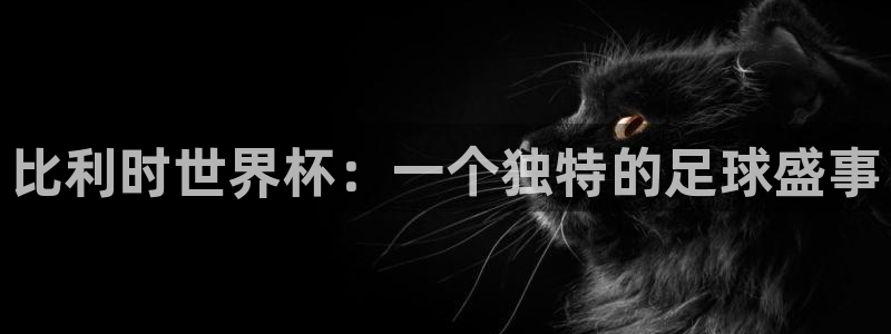 世界杯在线直播:比利时世界杯:一个独特的足球盛事