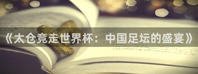 世界杯预选赛欧洲区赛程:《太仓竞走世界杯:中国足坛的盛宴》